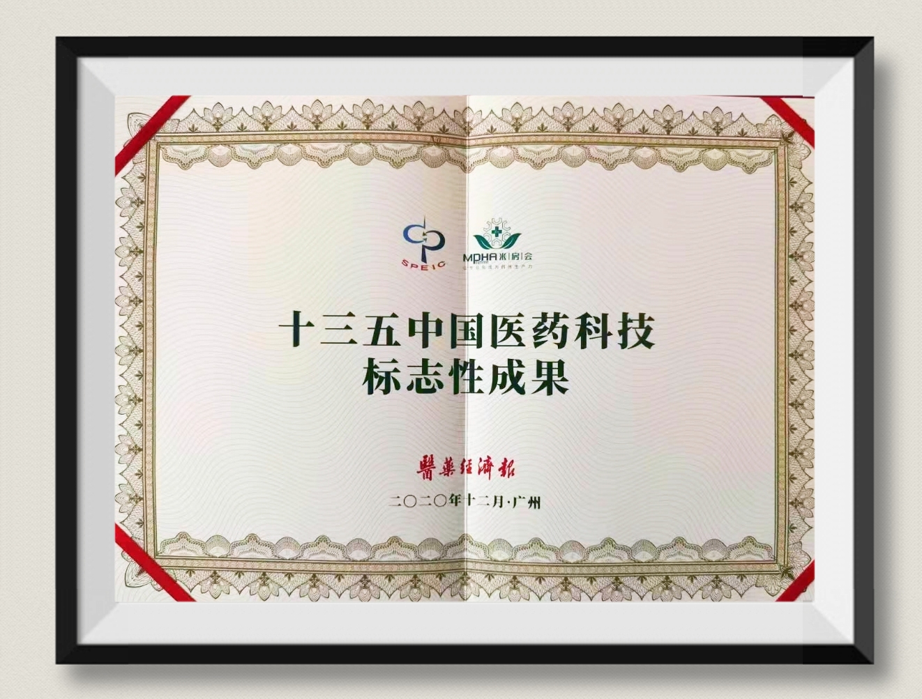 獲“十三五中國(guó)醫(yī)藥科技標(biāo)志性成果”